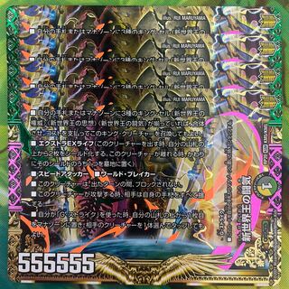 Fighting chi of the New World King｜Volzeos-Balamord (bottom)