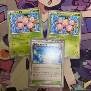 専用　たまたま、スカイ