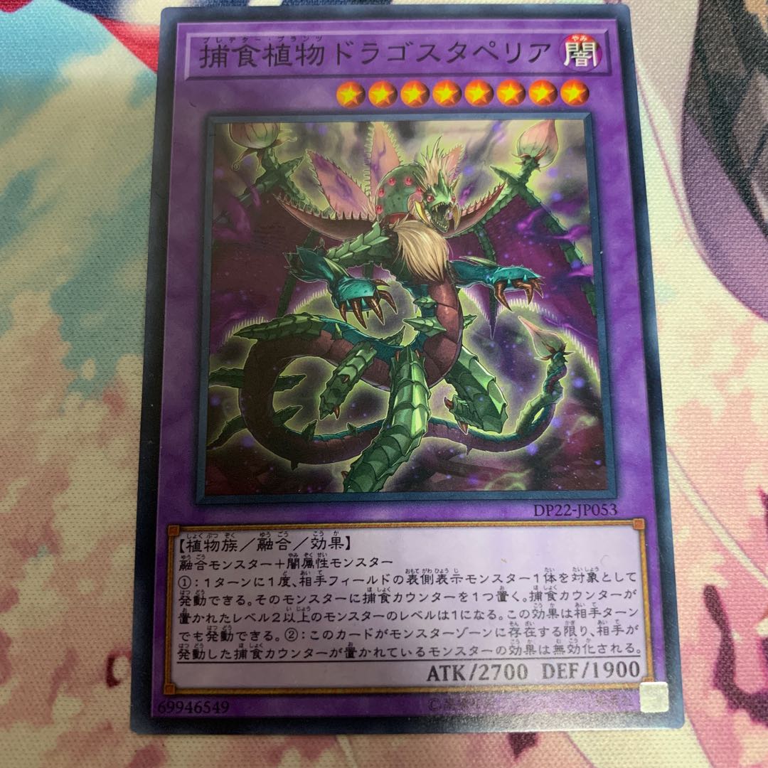 捕食植物ドラゴスタペリア