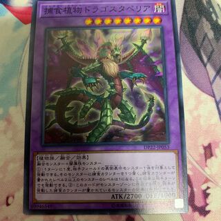 捕食植物ドラゴスタペリア