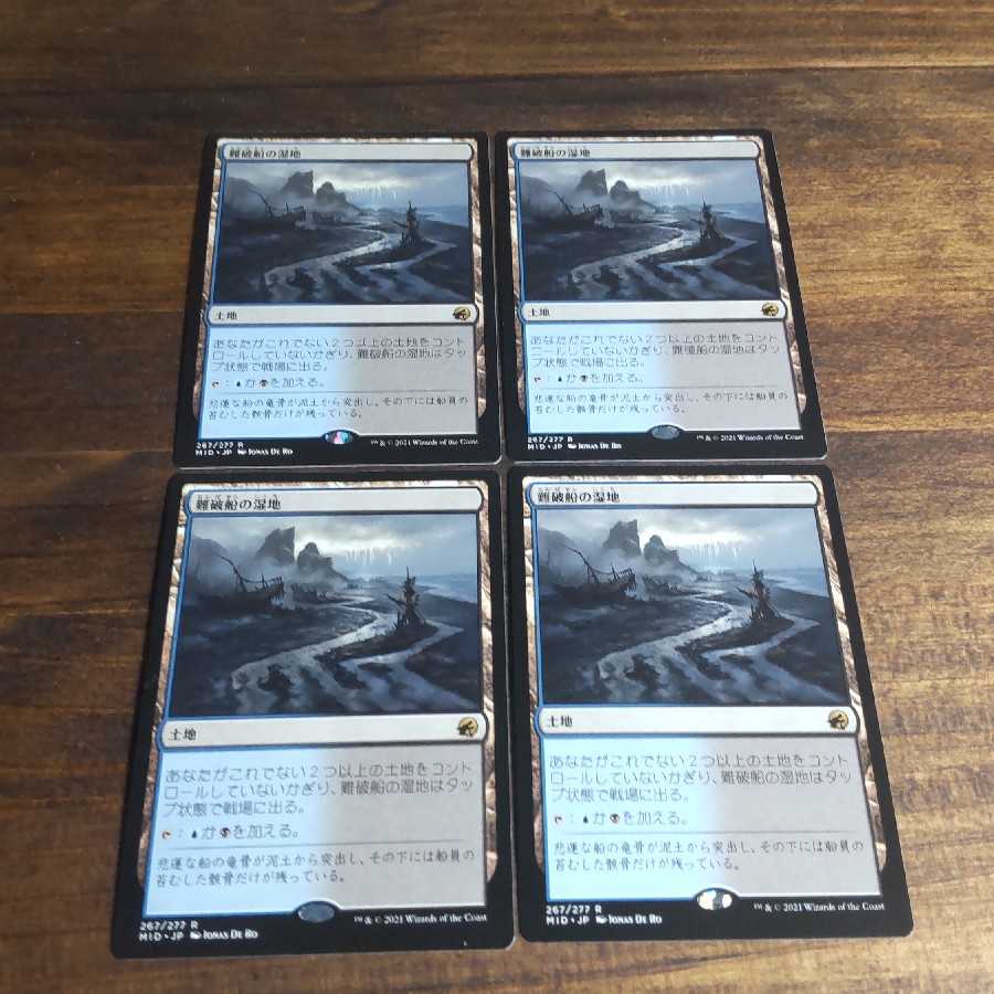 Shipwreck Marsh Rare