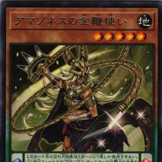 DP27-JP030 アマゾネスの金鞭使い ３枚