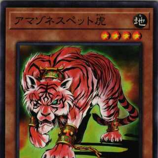 DP27-JP039  アマゾネスペット虎 3枚