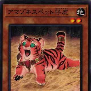 DP27-JP040 アマゾネスペット仔虎 3枚