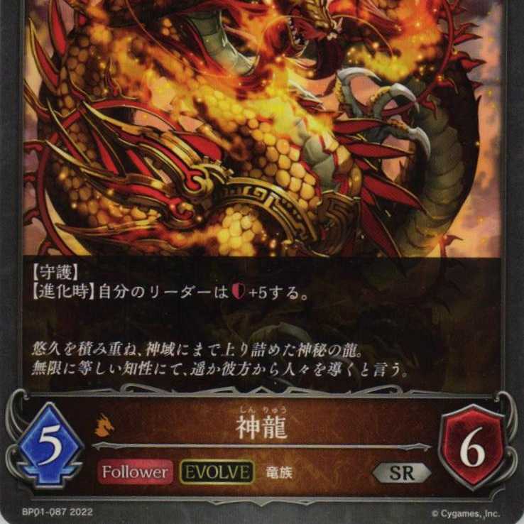 BP01-087 神龍 ３枚 1枚