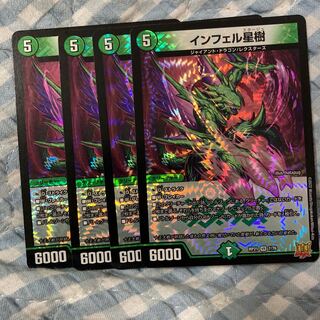 Infelix star tree (species of sedge, Infelix infertilis)