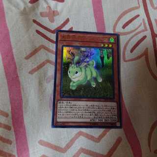 未界域のジャッカローブ