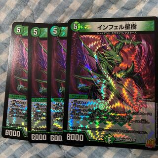 Infelix star tree (species of sedge, Infelix infertilis)