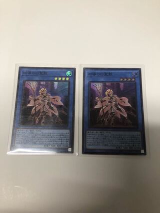 Set of 2 white holy wrecks of wickedness