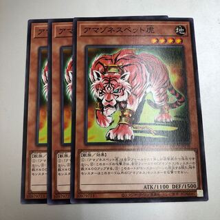 アマゾネスペット虎　3枚