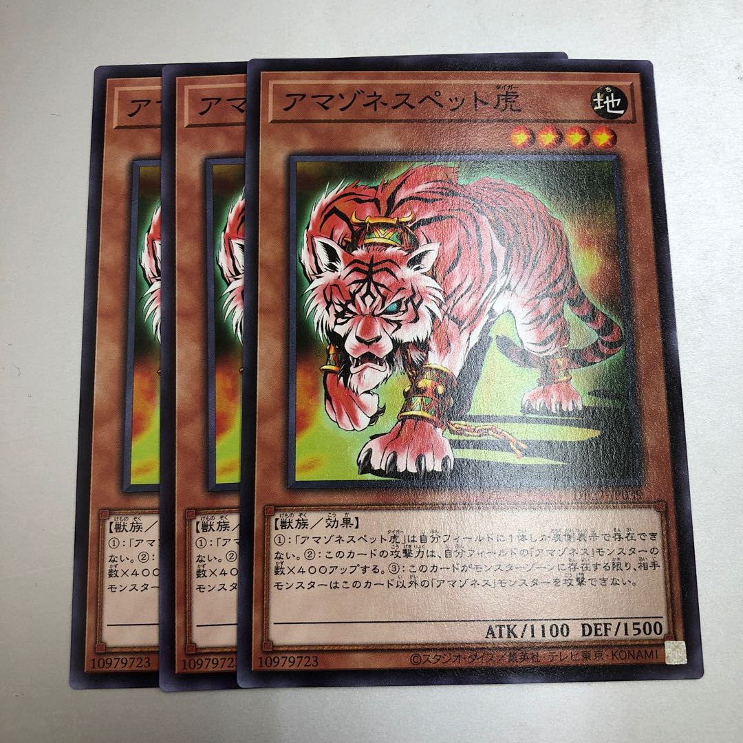 アマゾネスペット虎 3枚