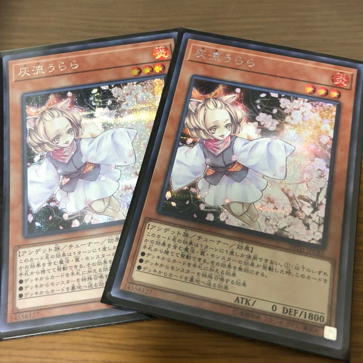 灰流うらら シク 2枚