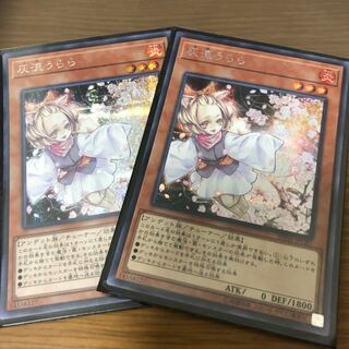 灰流うらら シク 2枚