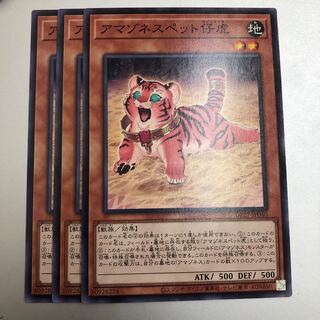 アマゾネスペット仔虎　3枚