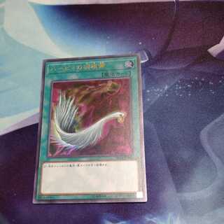 Harpie's Feather Duster UR