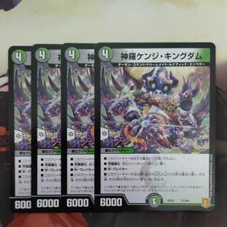 Shinra Kenji Kingdom