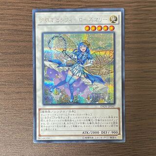 アロマセラフィ-ローズマリー　シークレット