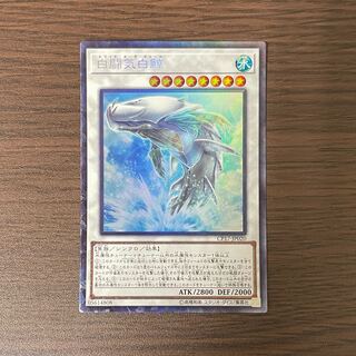 White Aura Whale Collector's Rare