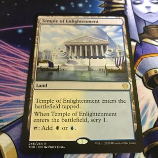 mtg 啓蒙の神殿 英語版 1枚