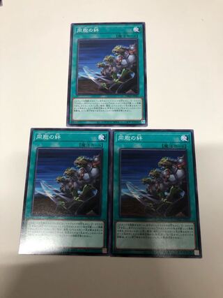 同胞の絆3枚セット