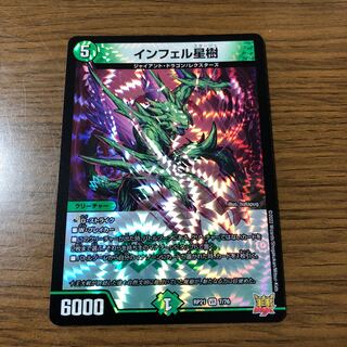 Infelix star tree (species of sedge, Infelix infertilis)