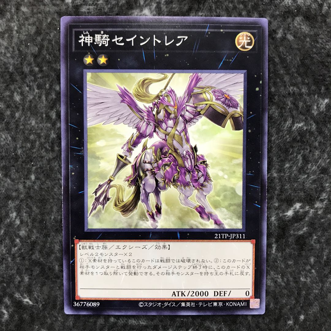 Sky Cavalry Centaurea