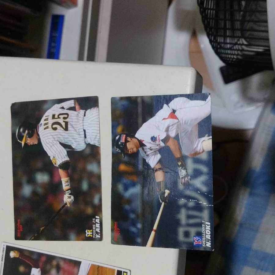 Professional Baseball Chips Card