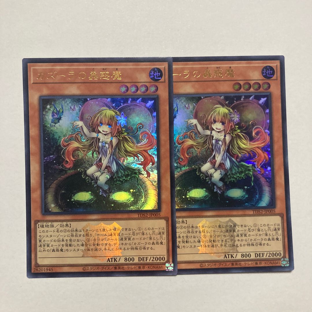 Traptrix Nepenthes Ultra Rare