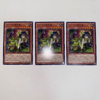 Traptrix Vesiculo Normal JP016