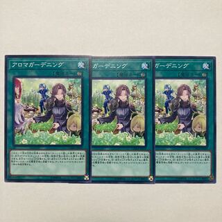 アロマガーデニング ノーマル JP059