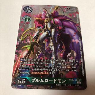 Blum Roadmon P-SR BT10-057