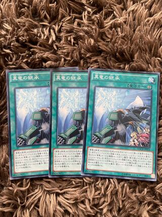 3 True Draco Heritage Normal