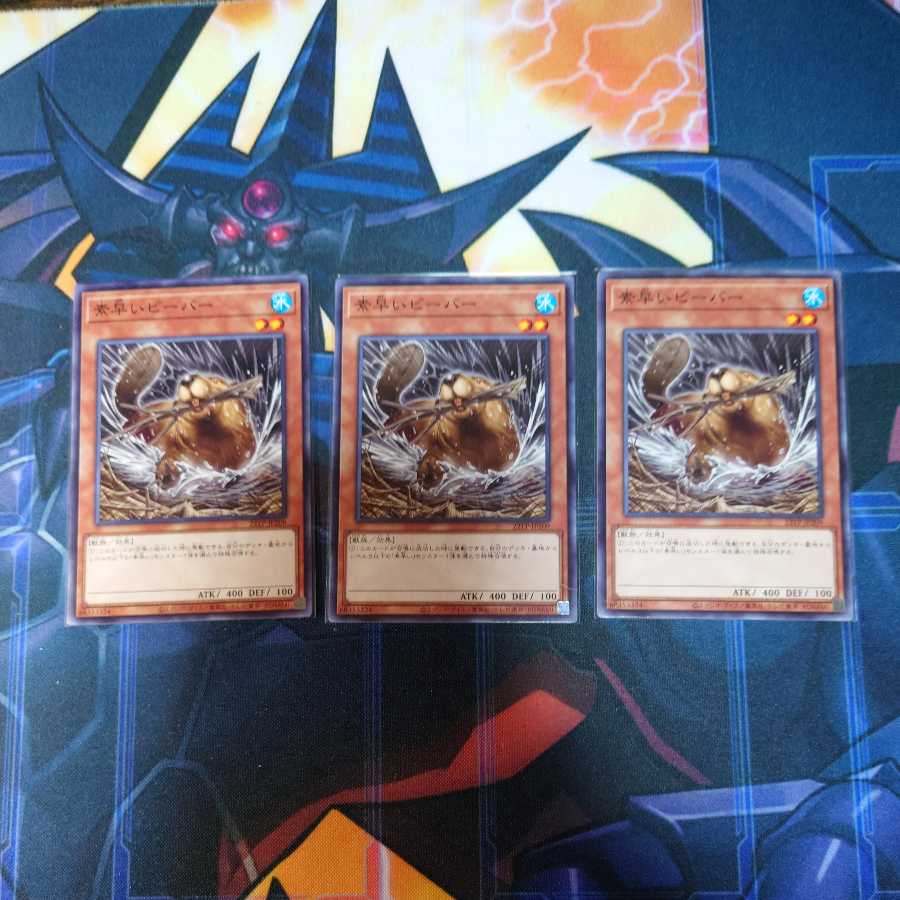 Set of 3 Nimble Beaver