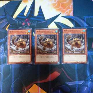 Set of 3 Nimble Beaver