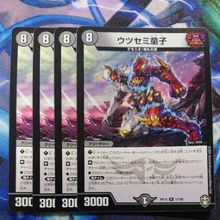 young Japanese amberjack (Seriola quinqueradiata)