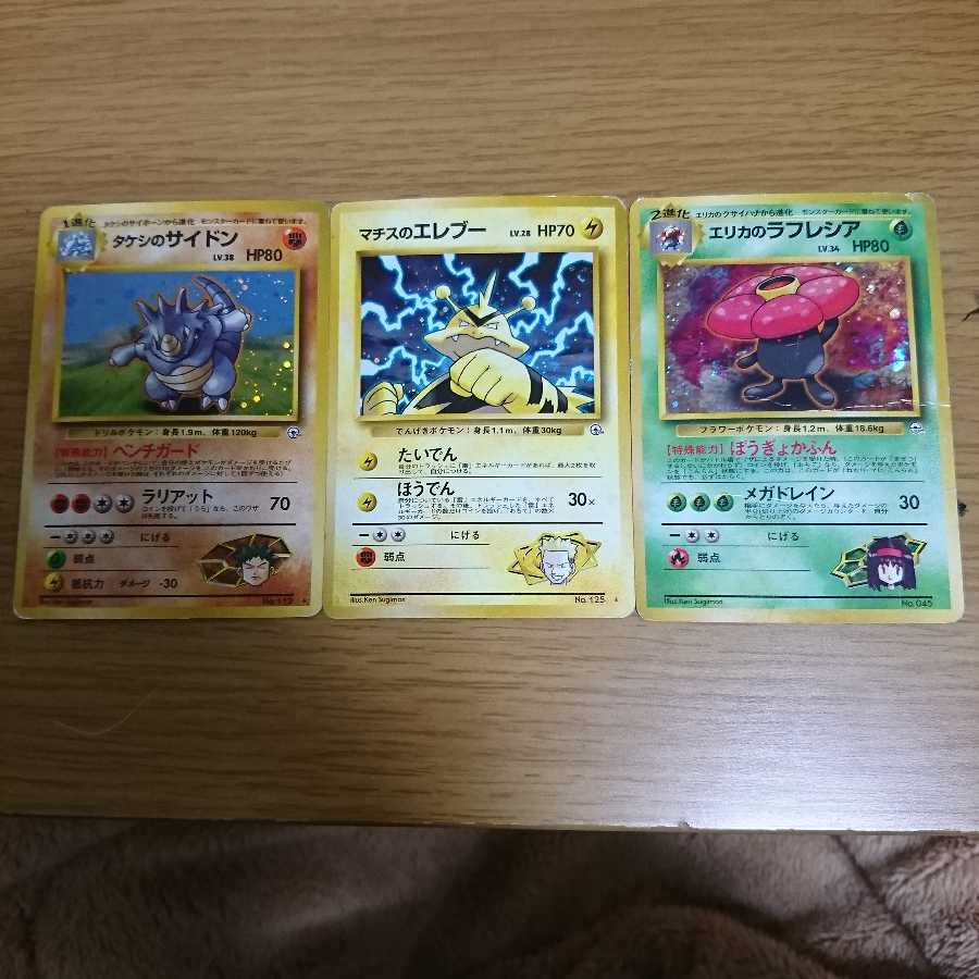 タケシのサイドン、マチスのエレブー、エリカのラフレシア