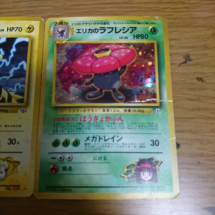 タケシのサイドン、マチスのエレブー、エリカのラフレシア