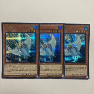 白棘鱏 シークレットレア