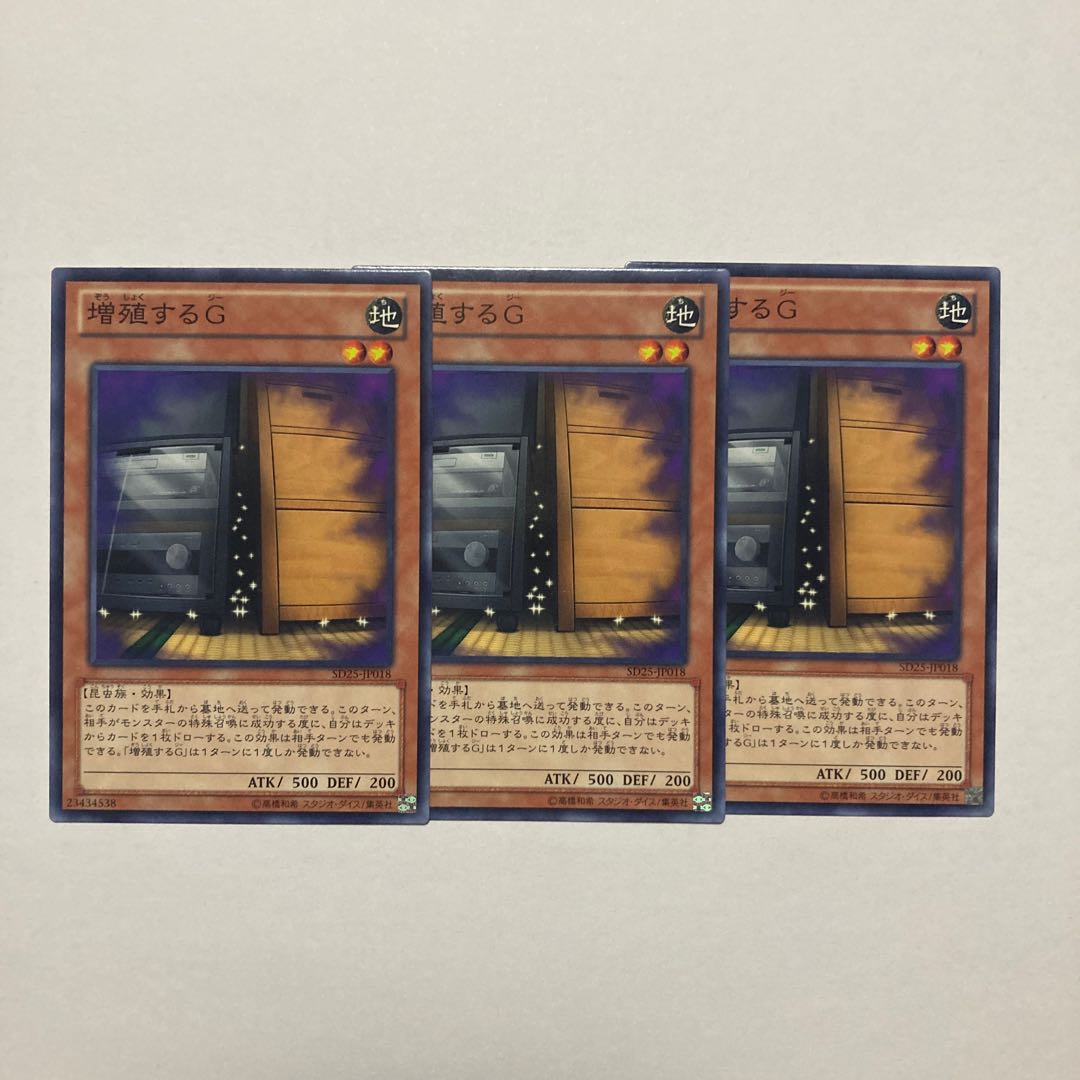 Maxx "C" Normal JP018