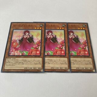 Rose Princess Normal