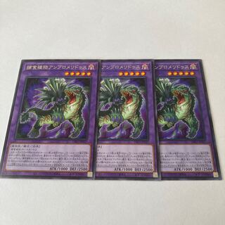 捕食植物アンブロメリドゥス レア JP037