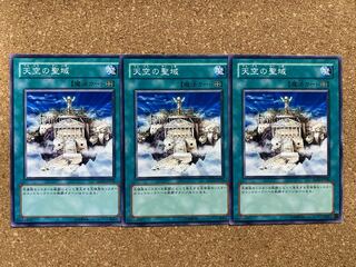 Yu-Gi-Oh The Sanctuary in the Sky Normal 1枚