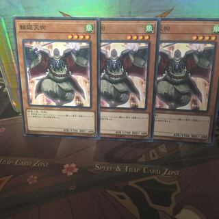 アンコウ 輪廻天狗 3枚