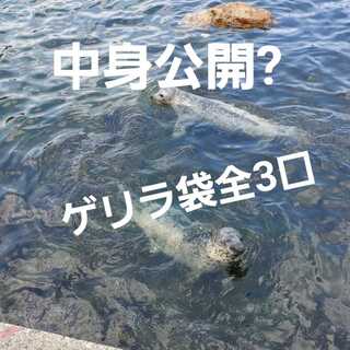 Only one guerrilla bag left for Mr. Shemin