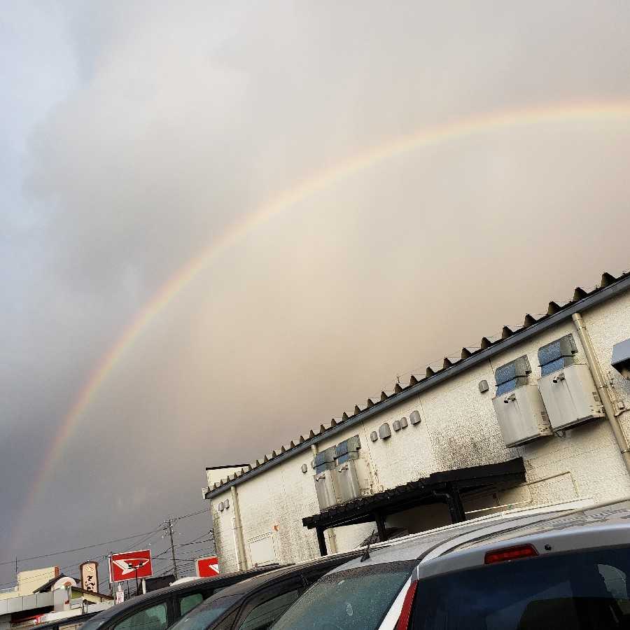 カード探します