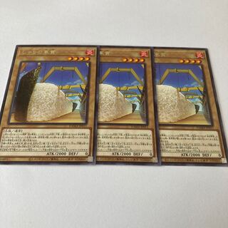 Gunkan Suship Shari Rare JP011