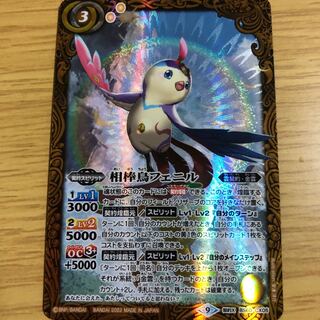 相棒鳥フェニル 1枚