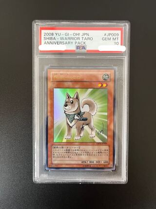 タロ psa10」の激安通販 | magi