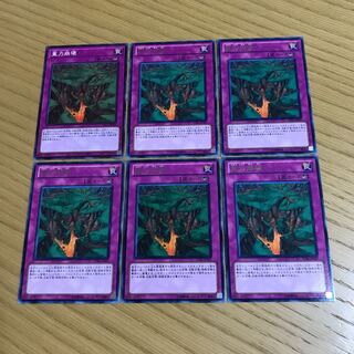 Weight Crumble Set of 6