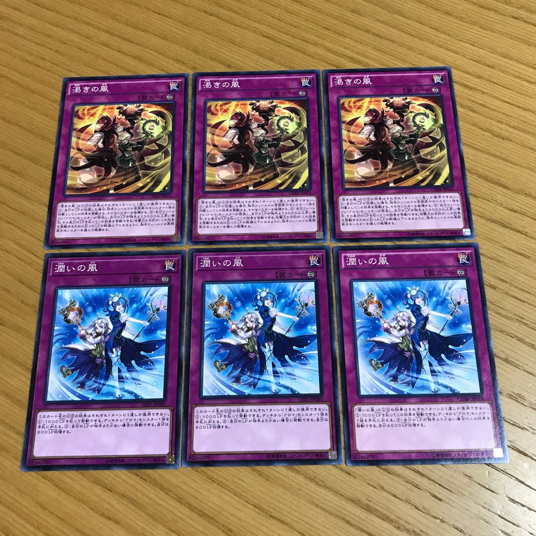 Dried Winds Humid Winds 6 piece set